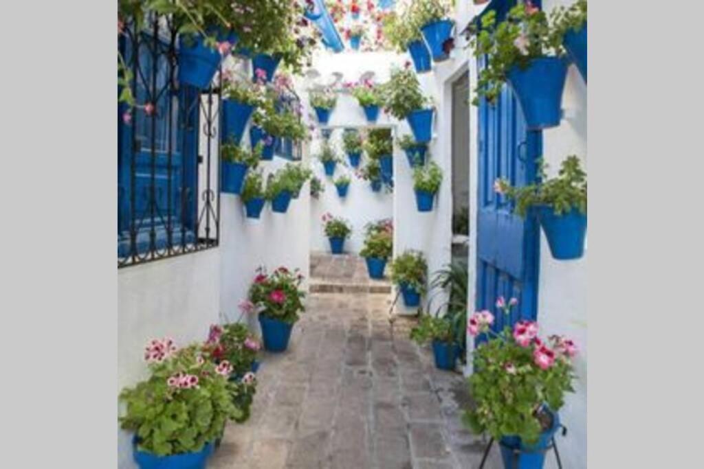 Corredera House. Pleno Centro De Cordoba Apartment Exterior photo